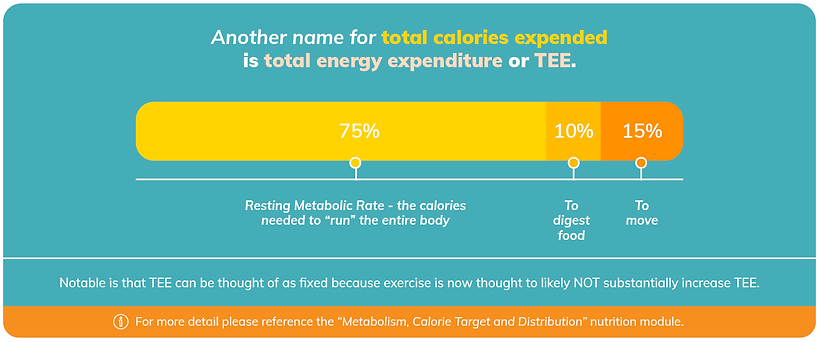 Calorie deficit and the appetite system
